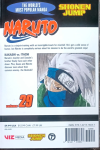 Naruto 29