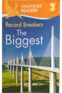 Record Breakers – The Biggest Level – 3