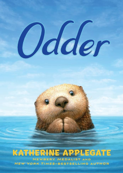 Odder